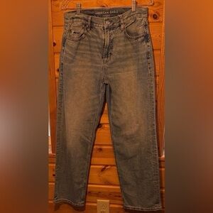 AE Strigid Low Rise Rx-Boyfriend  Blue Jeans Size 6